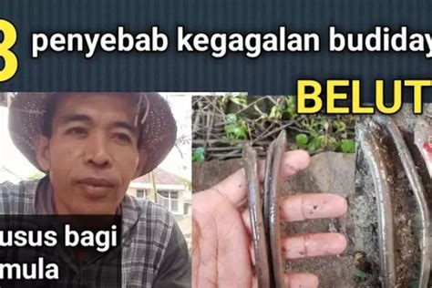 Pantesan Selama Ini Banyak Yang Rugi Ternyata Ini 3 Penyebab Kegagalan