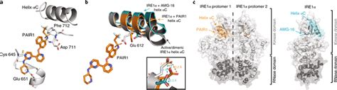 Cocrystal Structure Of The Ire Pair Complex A Interactions Of Pair