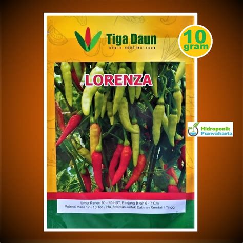 Jual Benih Cabe Cabai Rawit Lorenza Tipe Merunduk Super Pedas Cap Tiga