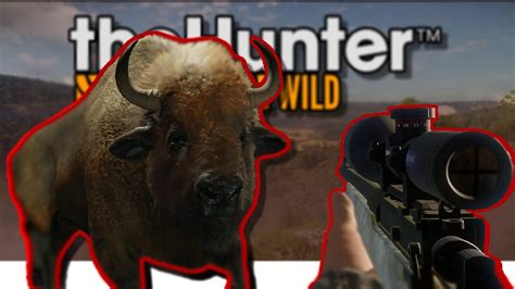 Huge Diamond Plains Bison Huge Albino Bighorn Sheep Thehunter Call