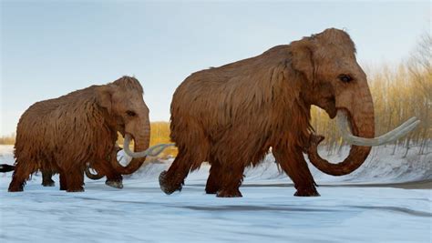 Woolly Mammoth | Britannica