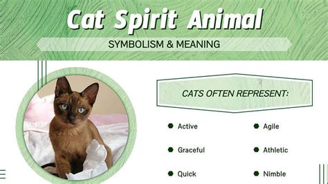 The Spiritual Meaning Of Cats Unveiling The Mystical Connection