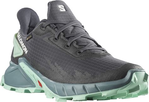 Salomon Alphacross Gtx W Sportisimo