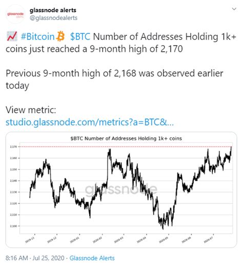 Number Of Bitcoin Wallets With 1000 Btc Hits 9 Month High Glassnode