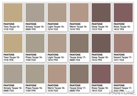 Astuce D Co La Couleur Taupe Maisons Vivre Ici Maisons Vivre Ici