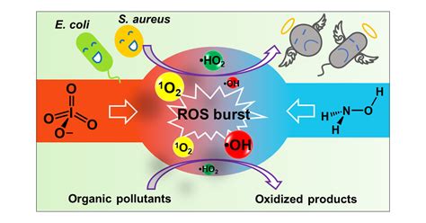 Production Of Reactive Oxygen Species By The Reaction Of Periodate And