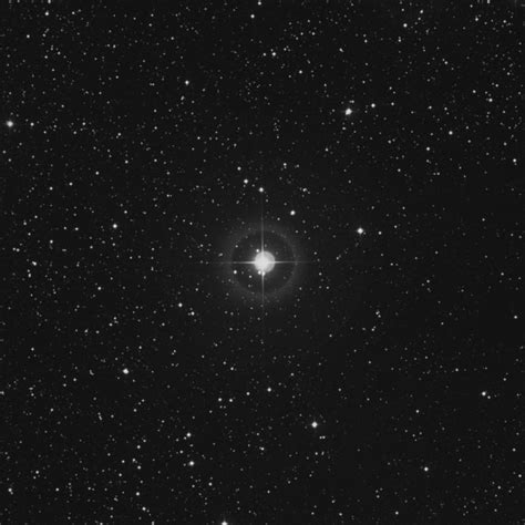 ξ Orionis Xi Orionis Star In Orion