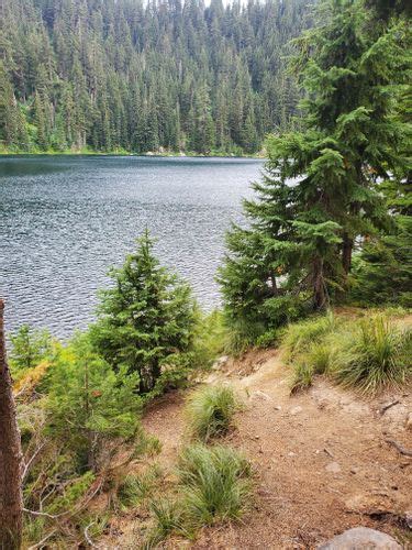 Best Hikes And Trails In Crystal Lake Wilderness Study Area Alltrails