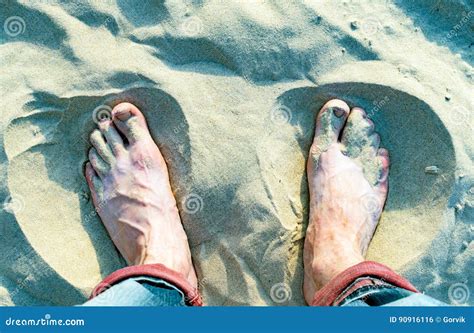 Naked Sand Dunes In Hokianga Harbour Stock Photography CartoonDealer