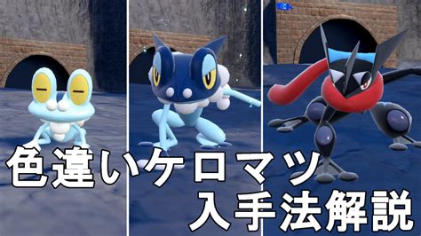 【ポケモンsv】色違いケロマツ（ゲッコウガ）入手法解説！pocket Monster Skarlet Violet Shiny Froakie