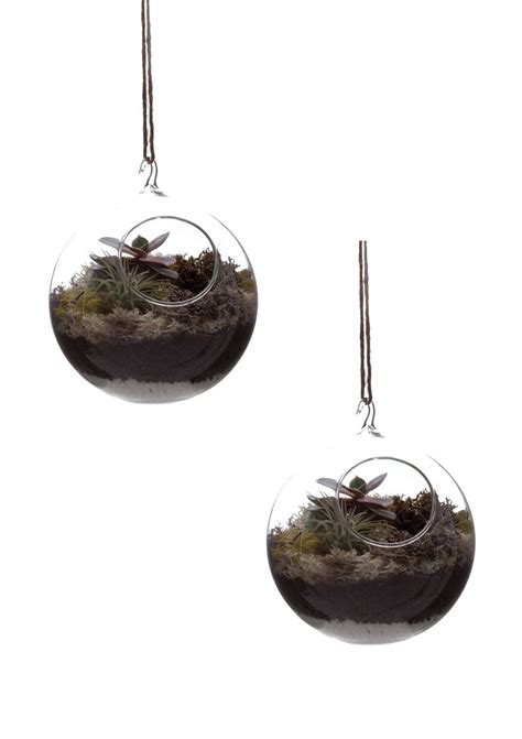 Decorology hanging terrariums | Hanging terrarium, Unique homewares ...