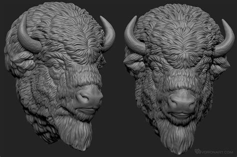 Bison head. 30cm wall mount sculpture. Work in progress