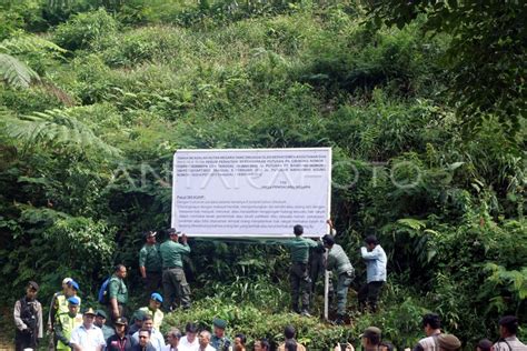 Klhk Segel Kawasan Hutan Lindung Antara Foto