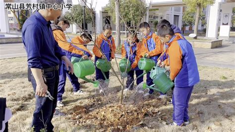 常山县芳村镇中心小学植树节活动腾讯视频