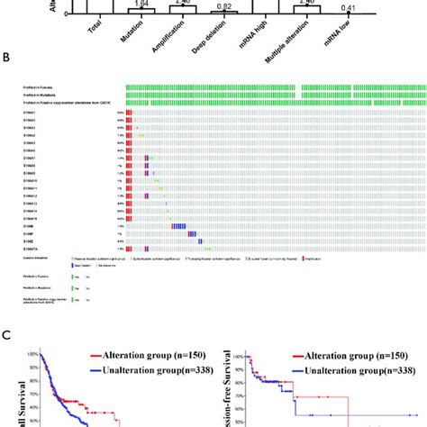 Figure S S S Gene Mutation Analysis In Hnscc A B S Genes