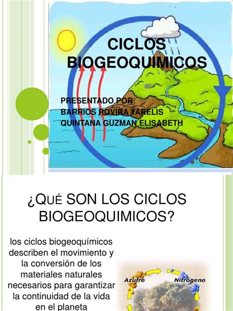 Ciclos Biogeoquimicos Biologia Porn Sex Picture