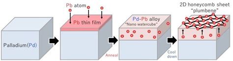 Plumbene Cousin Of Graphene Created By Researchers Research