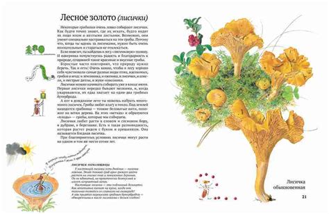 Софи в мире грибов — 365 Книг