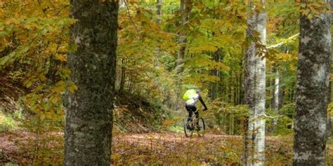 Bosco Del Cansiglio Nest Bike Percorsi E Itinerari In MTB E Gravel