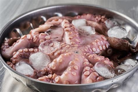 Octopus On Ice In A Bowl Stock Image Image Of Luxury 228937711