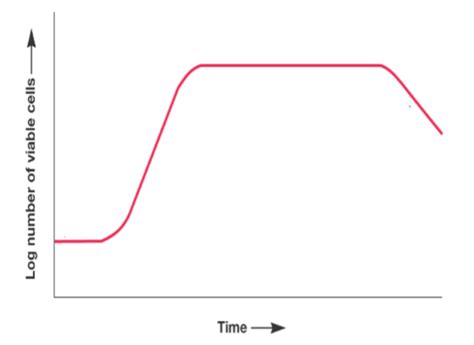 Stages of bacterial growth curve Diagram | Quizlet