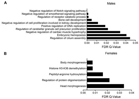 Ijerph Free Full Text Sex Specific Alterations In Cardiac Dna