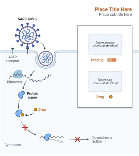 Covid 19 Drug Mechanism Of Action Layout Biorender Science Templates