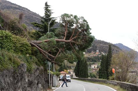 Provincia Di Lecco Sferzata Dal Vento Raffiche Di Vento A 100 Km H