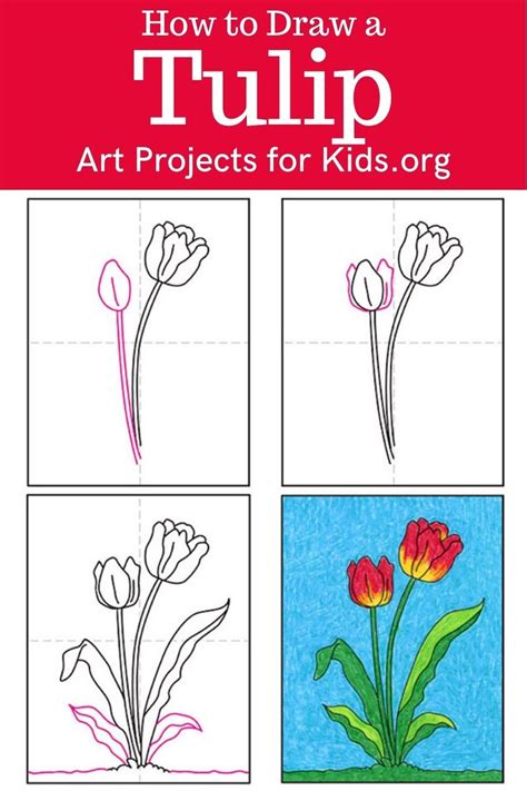 Easy How To Draw A Tulip Tutorial Video And Tulip Coloring Page Artofit