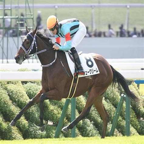 【京都4r新馬戦結果】シュークリームが7馬身差の圧勝 2023年10月15日掲載 ライブドアニュース