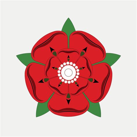 Red Rose of Lancaster Drawing Illustration on Grey background. 7023338 ...