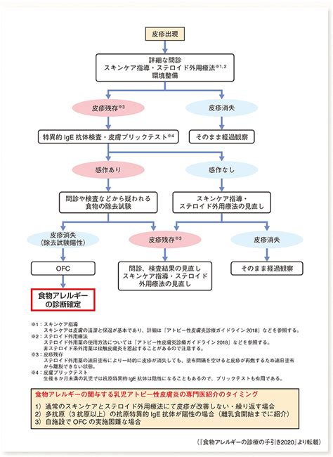 アレルギーガイドライン2021 ダイジェスト版 第8章 診断と検査（総論）