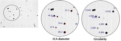 How different particle shapes impact results using different techniques