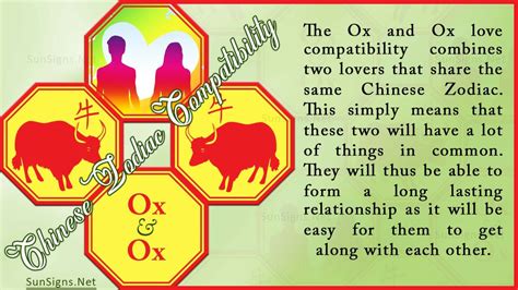 Ox Ox Compatibility: Honest and Relaxed - Zodiac Signs 101