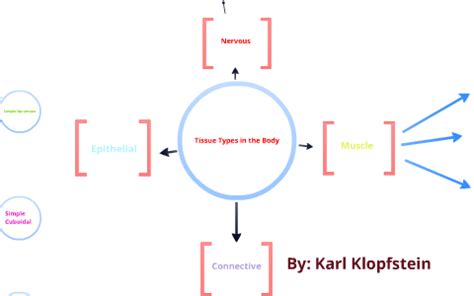 Tissue Types In The Body Concept Map United States Map