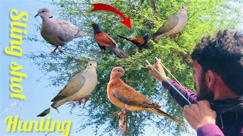 Best Birds Hunting With Slingshot YouTube