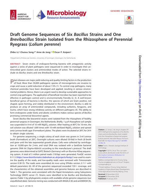 Pdf Draft Genome Sequences Of Six Bacillus Strains And One