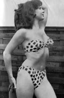 Vintage Bikini Swimsuit Page 97 Vintage Erotica Forums