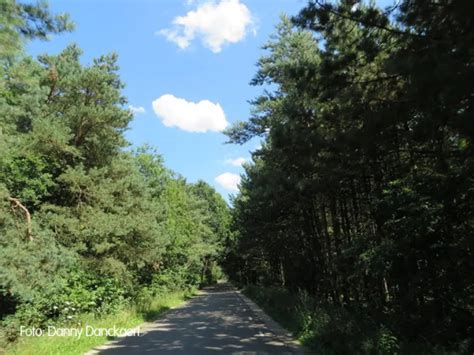 Mtb Route Weert Deel Van Zuidlus Km Vvv Hart Van Limburg