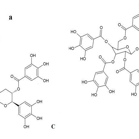 Chemical structure of gallic acid (a) and its derivatives: gallic acid ...