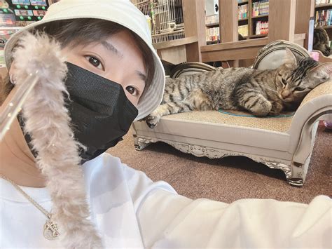 石田拳智超無課金αd代表 On Twitter 捨て猫や保護猫が飼い猫に化けるをコンセプトにしてる化猫茶屋行ってきた。 店の雰囲気は