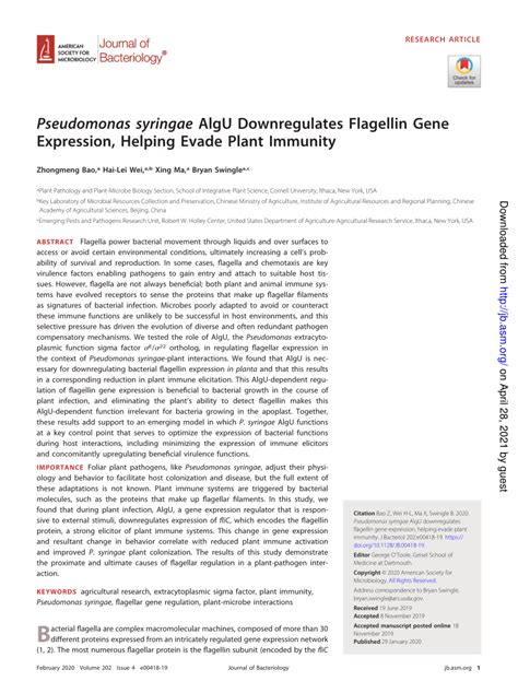 (PDF) Pseudomonas syringae AlgU Downregulates Flagellin Gene Expression, Helping Evade Plant ...