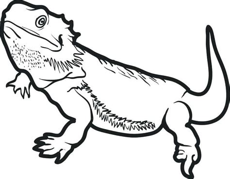 Bearded Dragon Coloring Page Pages Printable D Dragon Coloring Page Bearded Dragon Colors