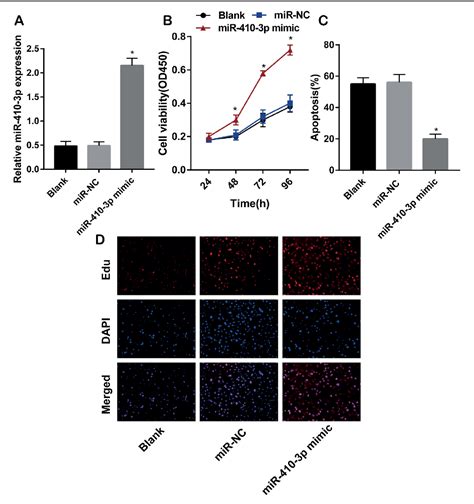 Figure 1 From Overexpression Of MiRNA 410 3p Protects Hypoxia Induced