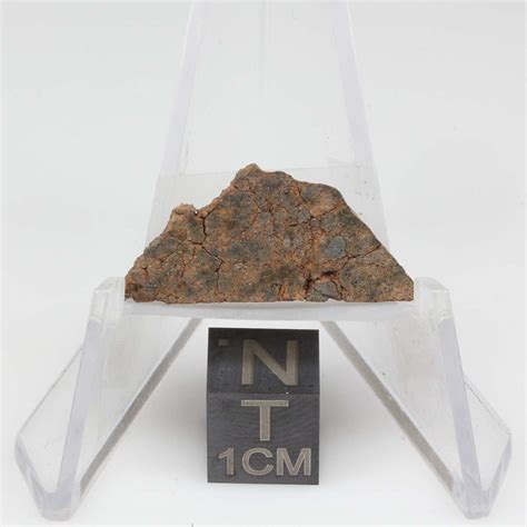 Nwa 10828 Meteorite 10828 48 The Meteorite Exchange Inc