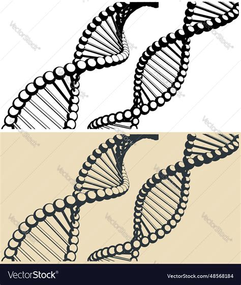 Dna Royalty Free Vector Image - VectorStock