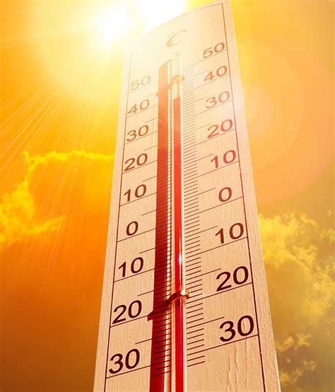 Heat Warning Issued For Aug Libraries Open As Cooling Stations