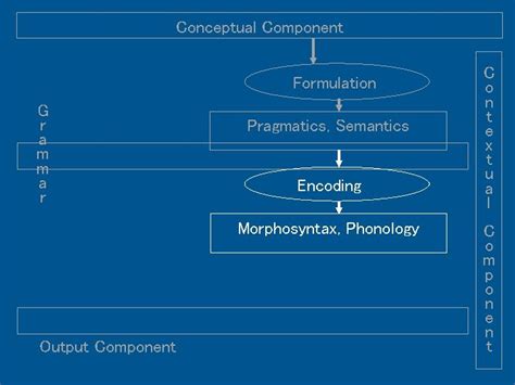 General Architecture Of Functional Discourse Grammar The Components