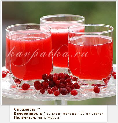 karpatka,Брусничный морс