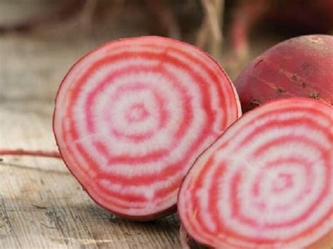 ТОП-10: лучшие сорта свеклы, которые вам точно понравятся | Чудогрядка ...